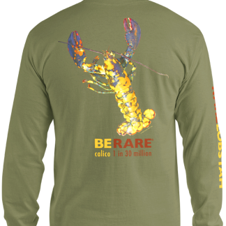 Calico Lobster Shirt