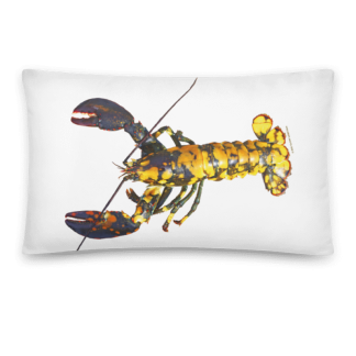 Rare calico lobster pillow