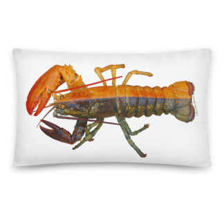 split-colored rare lobster pillow