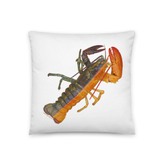 split-colored lobster photograph on pillow