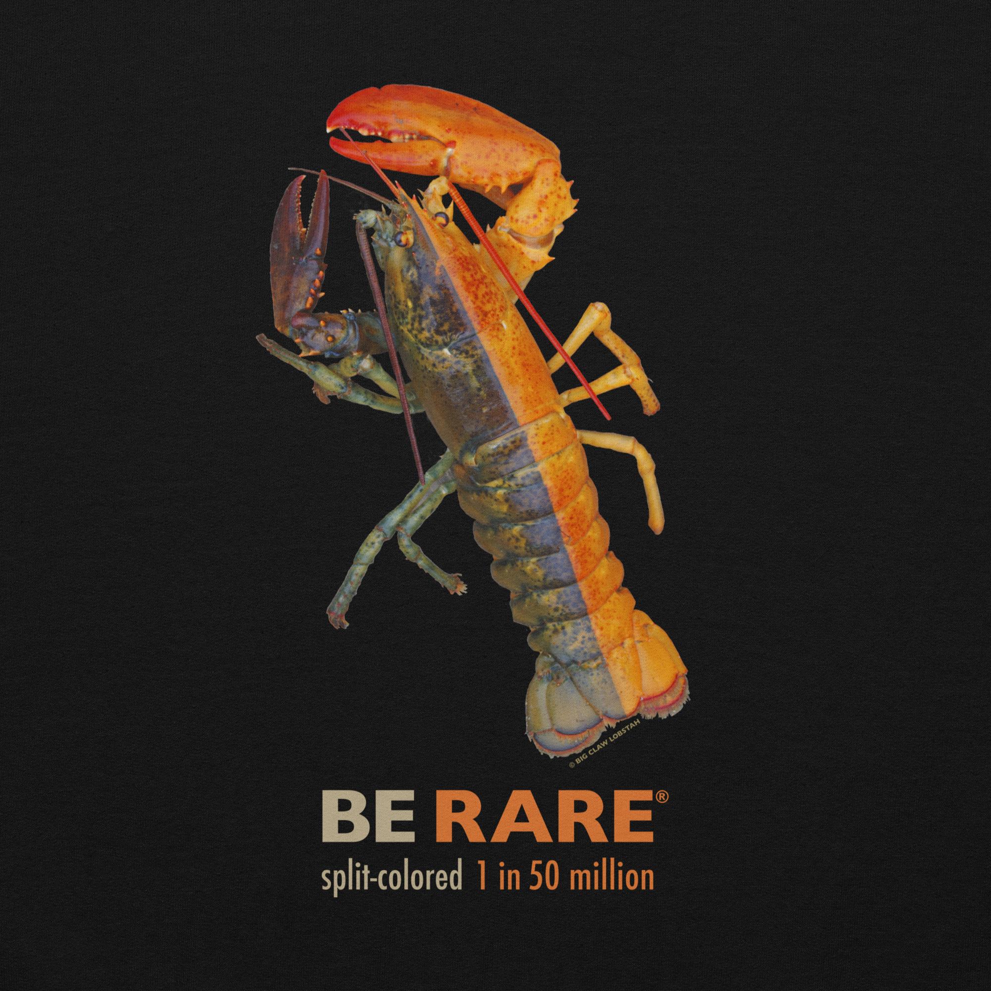 SPLITCOLORED LOBSTAH — Black Hoodie - Image 2