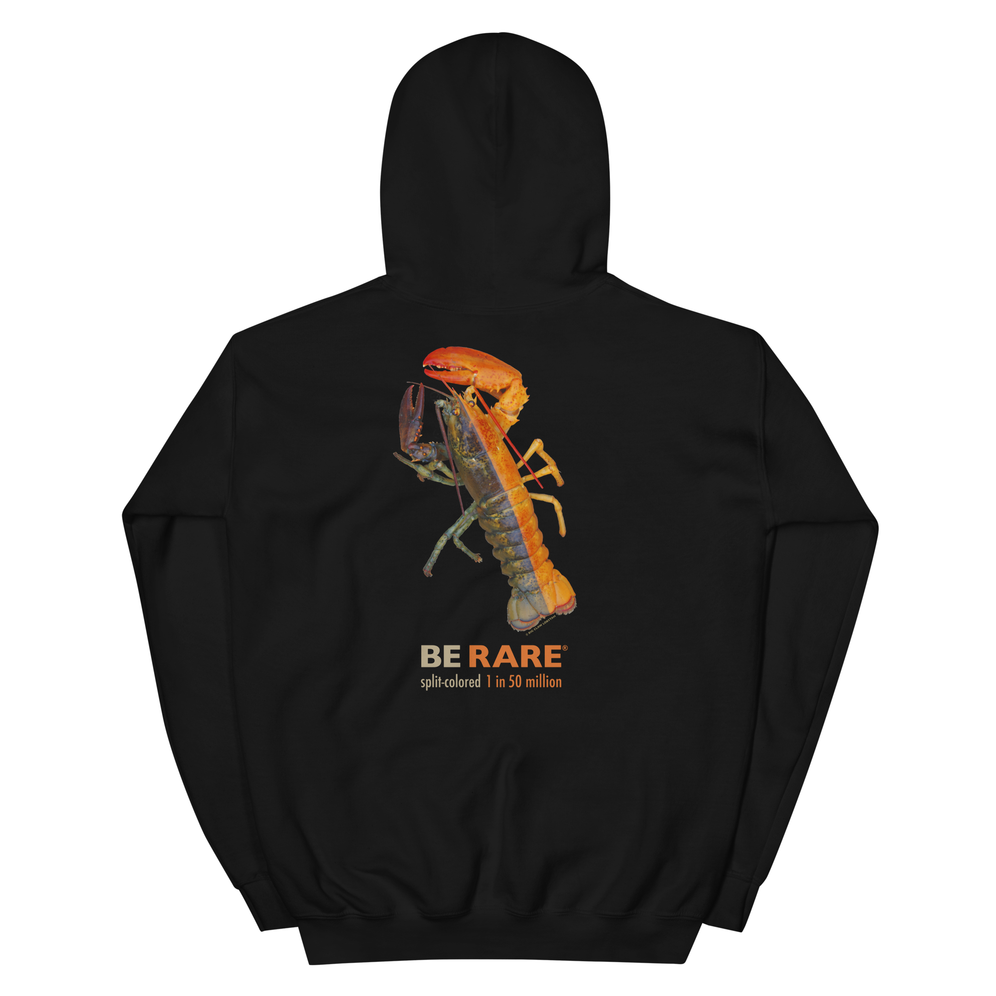 SPLITCOLORED LOBSTAH — Black Hoodie - Image 11