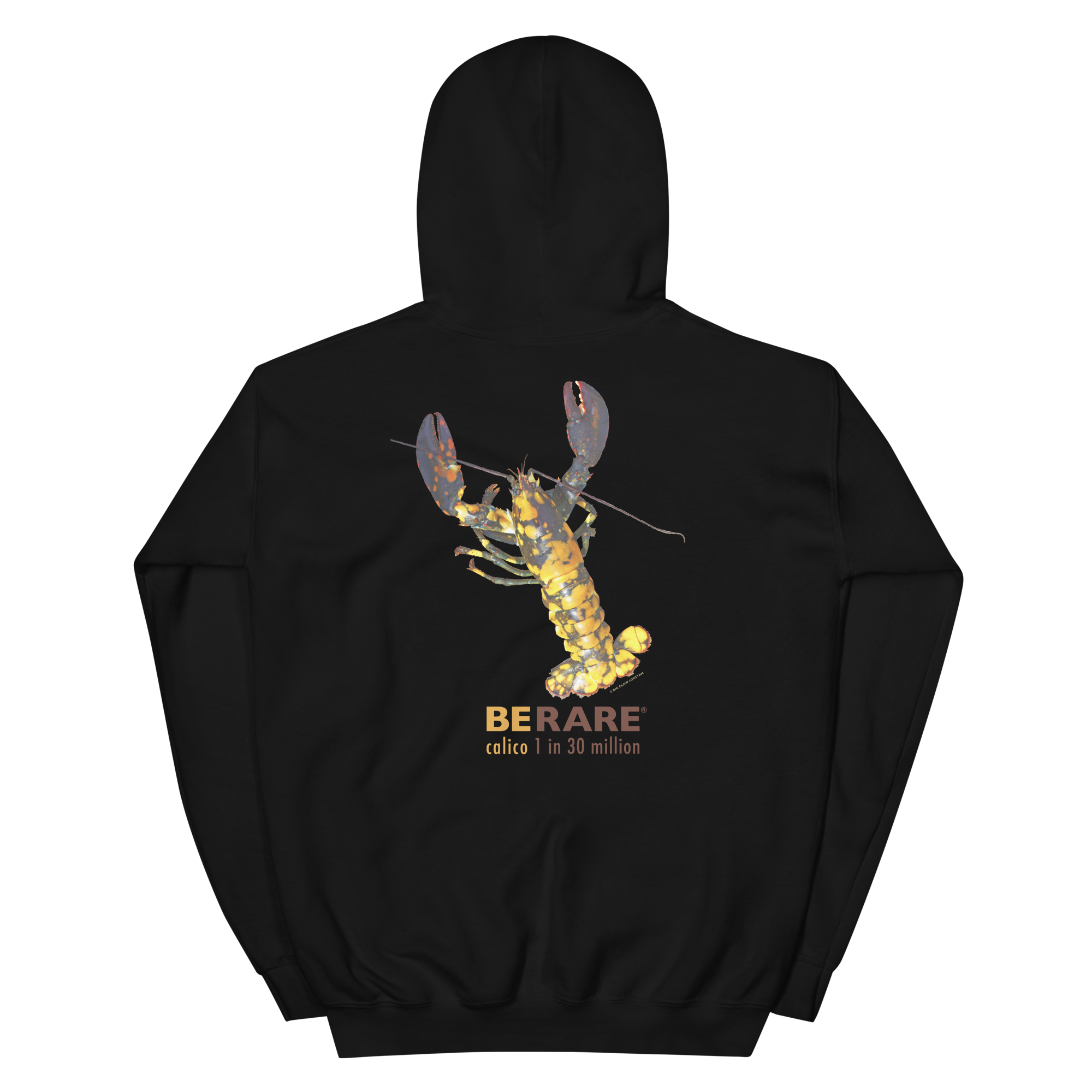 Rare Calico Lobster on Hoodie sweat shirt