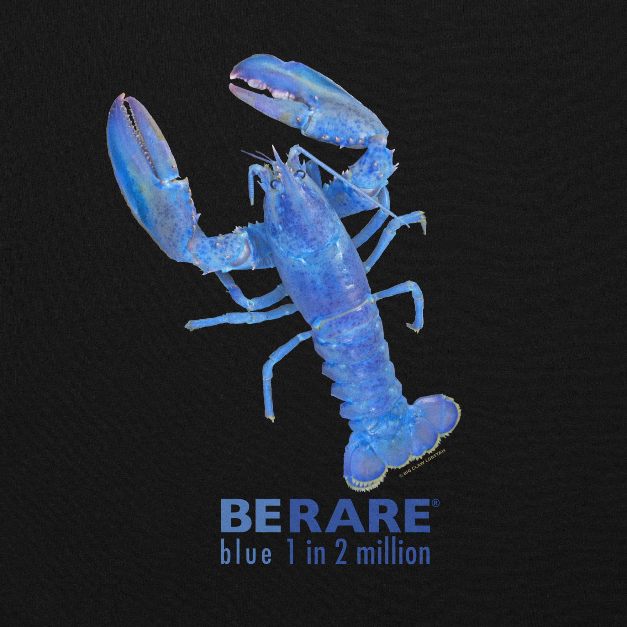 BLUE LOBSTAH — Black Hoodie - Image 9