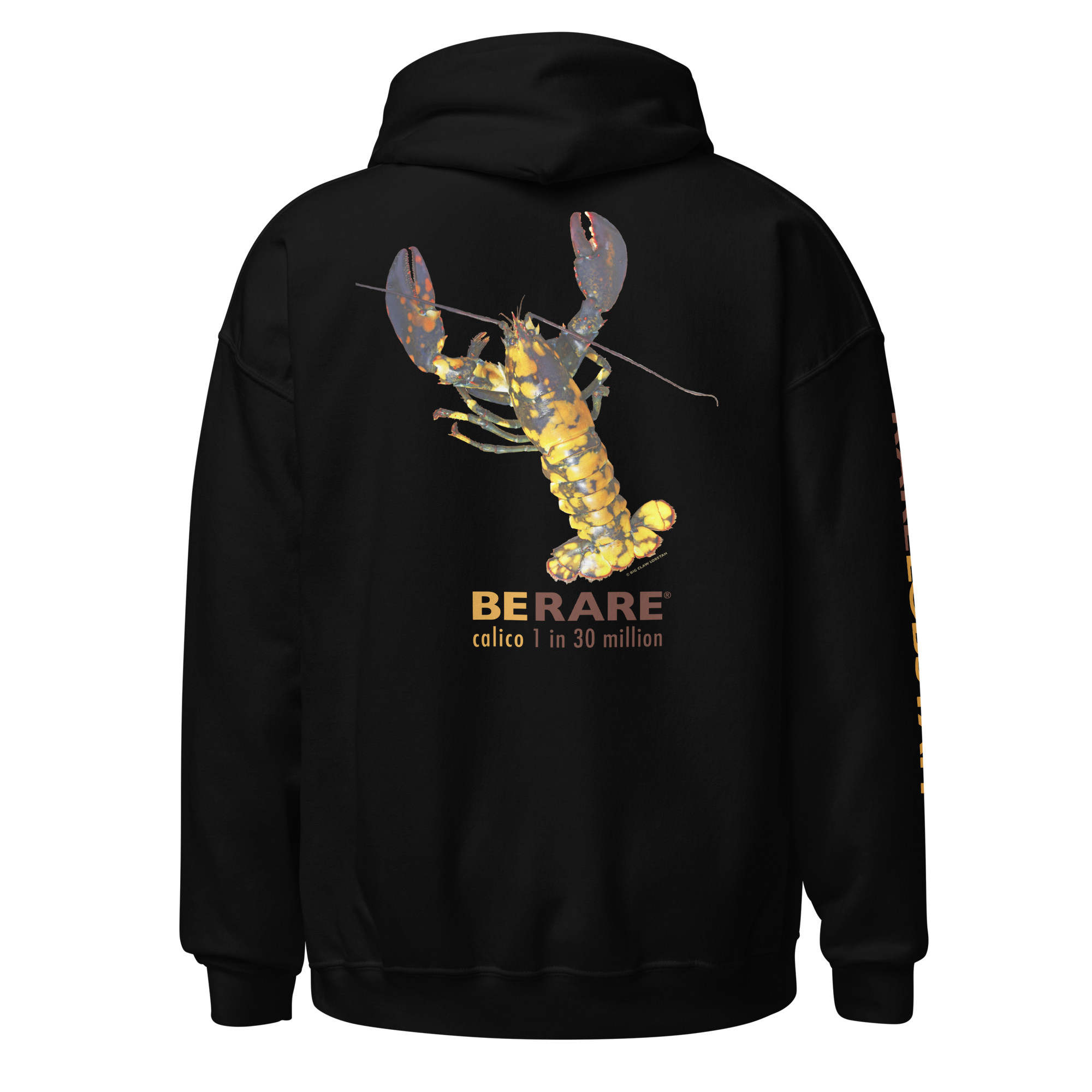 Rare Calico Lobster on Hoodie sweat shirt