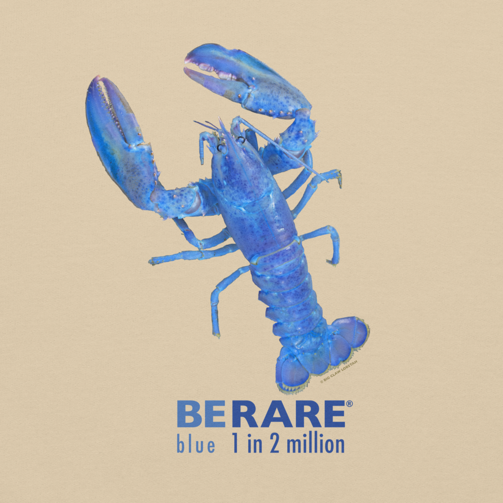 BLUE LOBSTAH — Beige Hoodie - Image 2