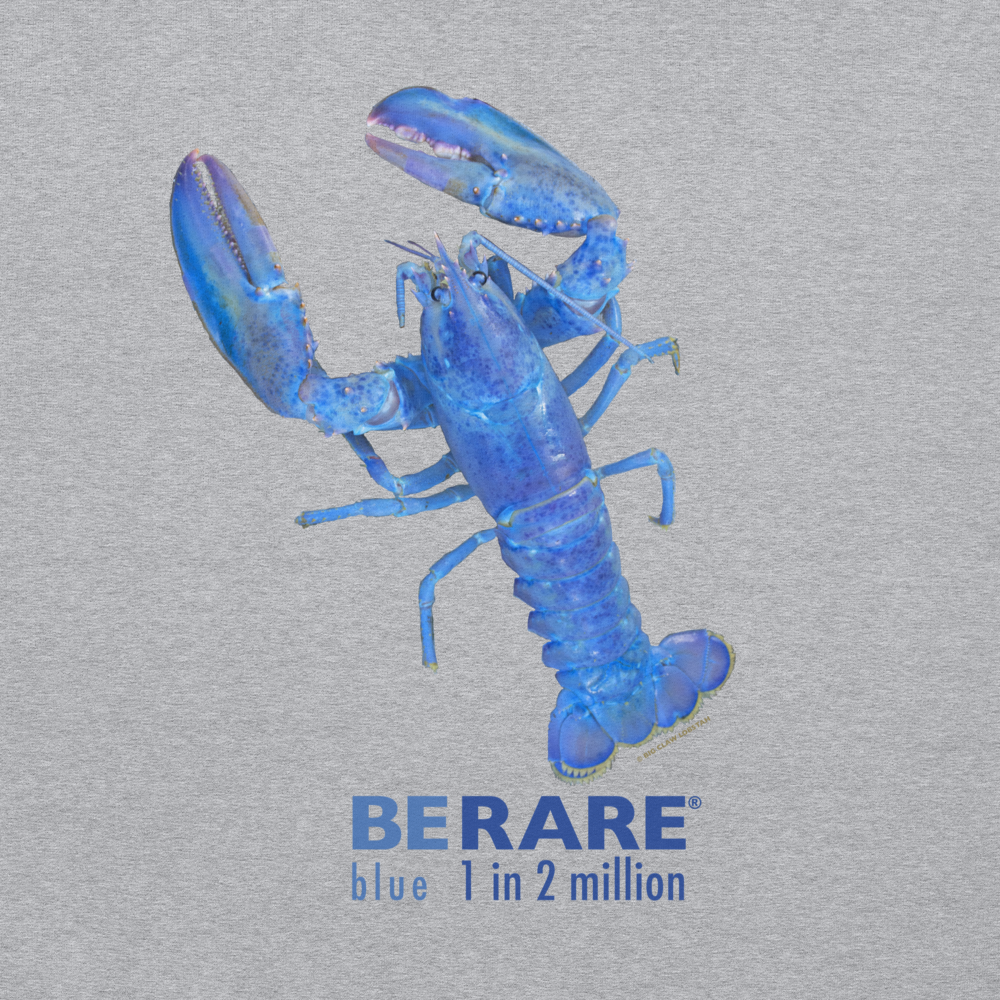 BLUE LOBSTAH — Sport Grey Hoodie - Image 3