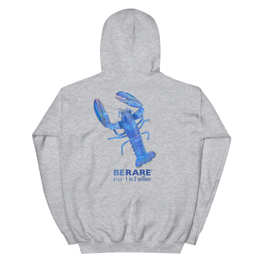 BLUE LOBSTAH — Sport Grey Hoodie - Image 4