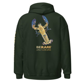 hunter green hoodie with yellow lobster