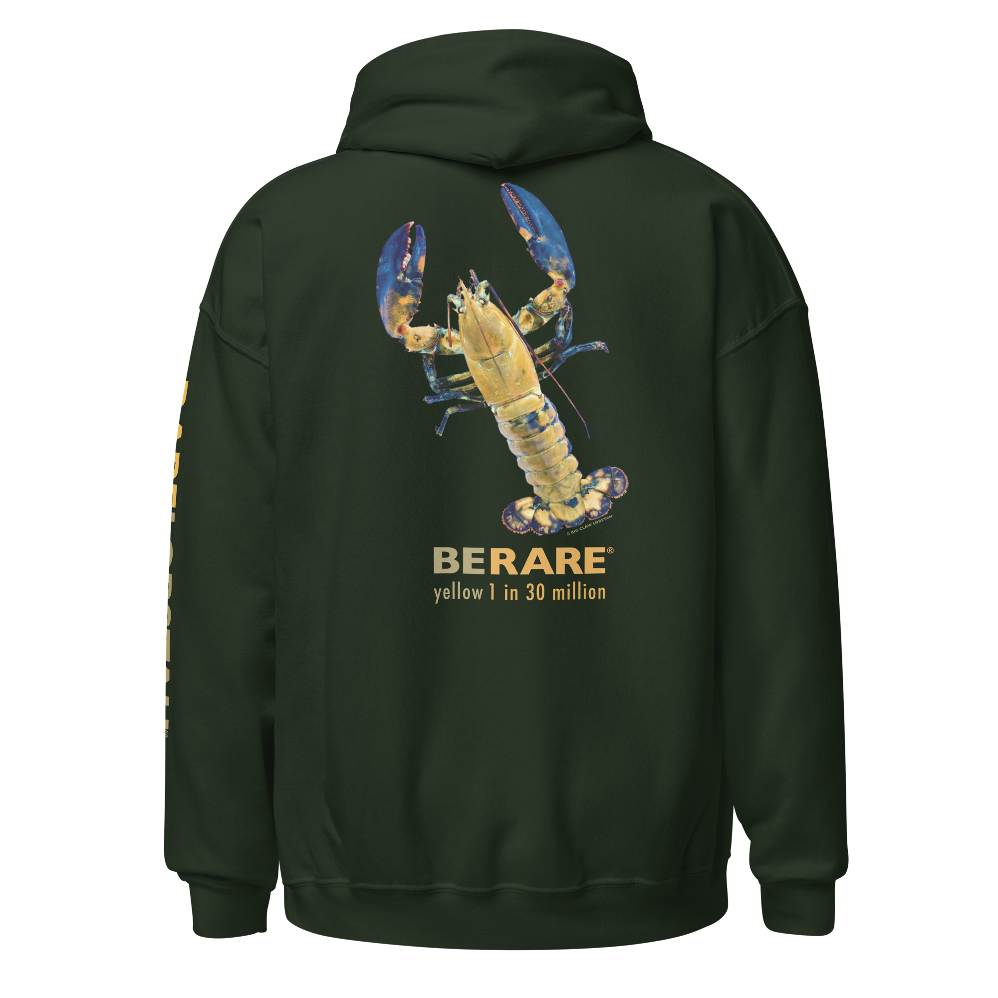hunter green hoodie with yellow lobster